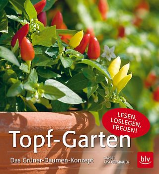 Topf-Garten