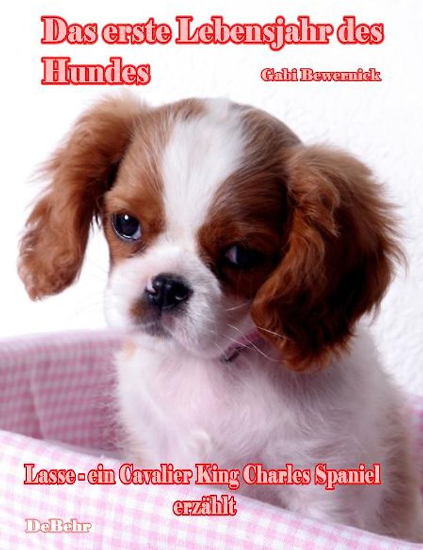 Das erste Lebensjahr des Hundes - Lasse - eine Cavalier King Charles Spaniel erzählt