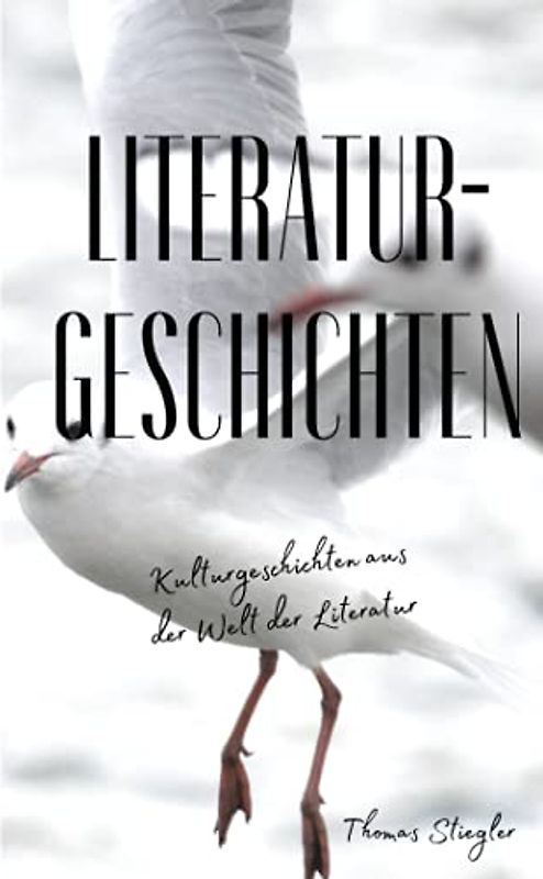 Literaturgeschichten