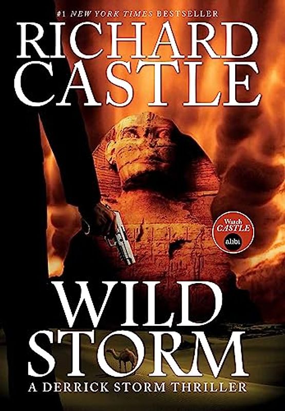 Wild Storm: A Derrick Storm Novel