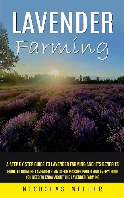Lavender Farming