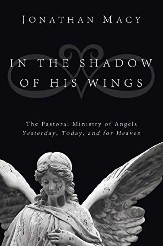 In the Shadow of His Wings: The Pastoral Ministry of Angels: Yesterday, Today, and for Heaven