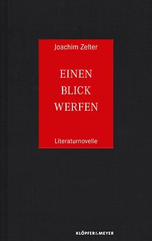 Einen Blick werfen. Literaturnovelle