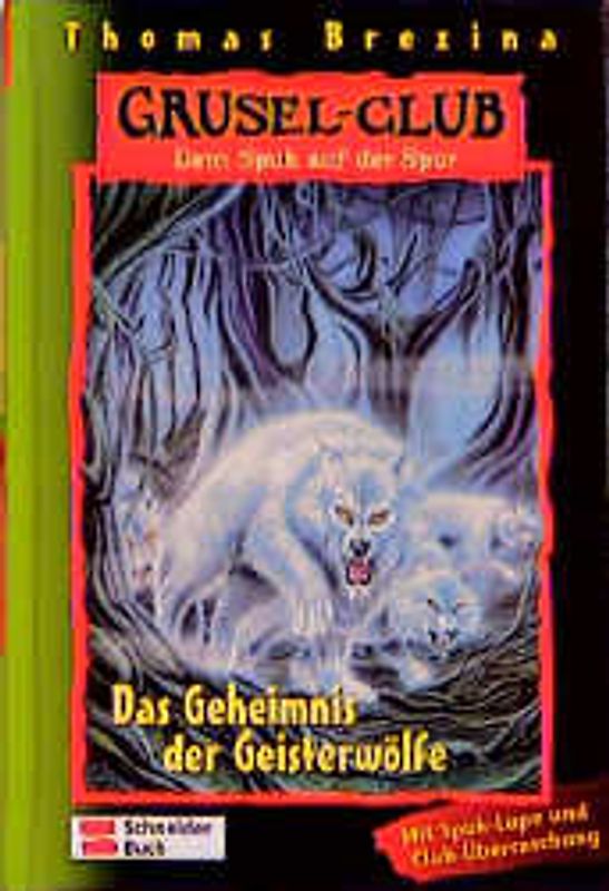 Grusel-Club - Dem Spuk auf der Spur, Band 16