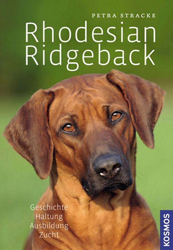 Rhodesian Ridgeback