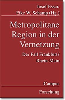Metropolitane Region in der Vernetzung