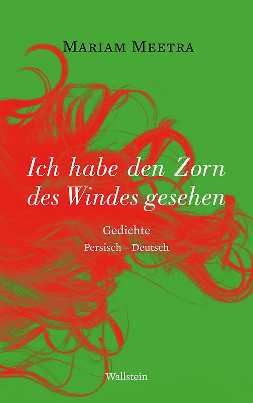 Ich habe den Zorn des Windes gesehen