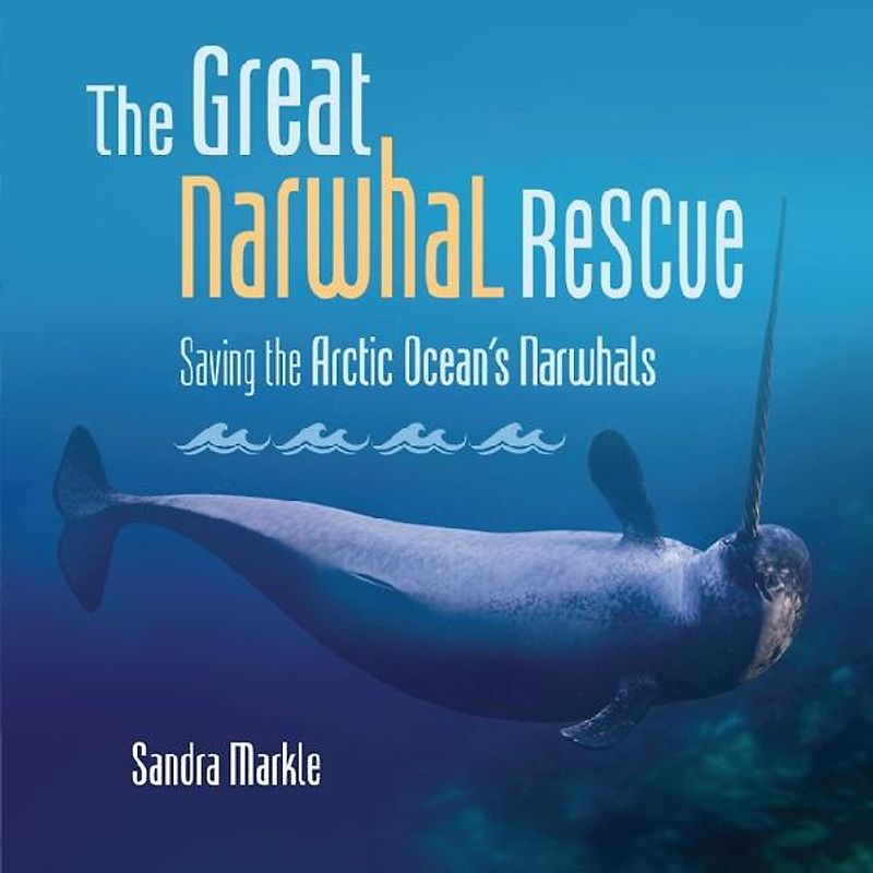 The Great Narwhal Rescue