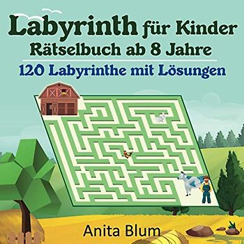 Labyrinthe für Kinder: Rätselbuch ab 8 Jahre 120 Labyrinthe mit Lösungen
