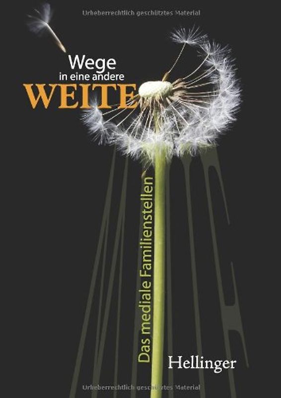 Wege in eine andere Weite - Hellinger, Bert
