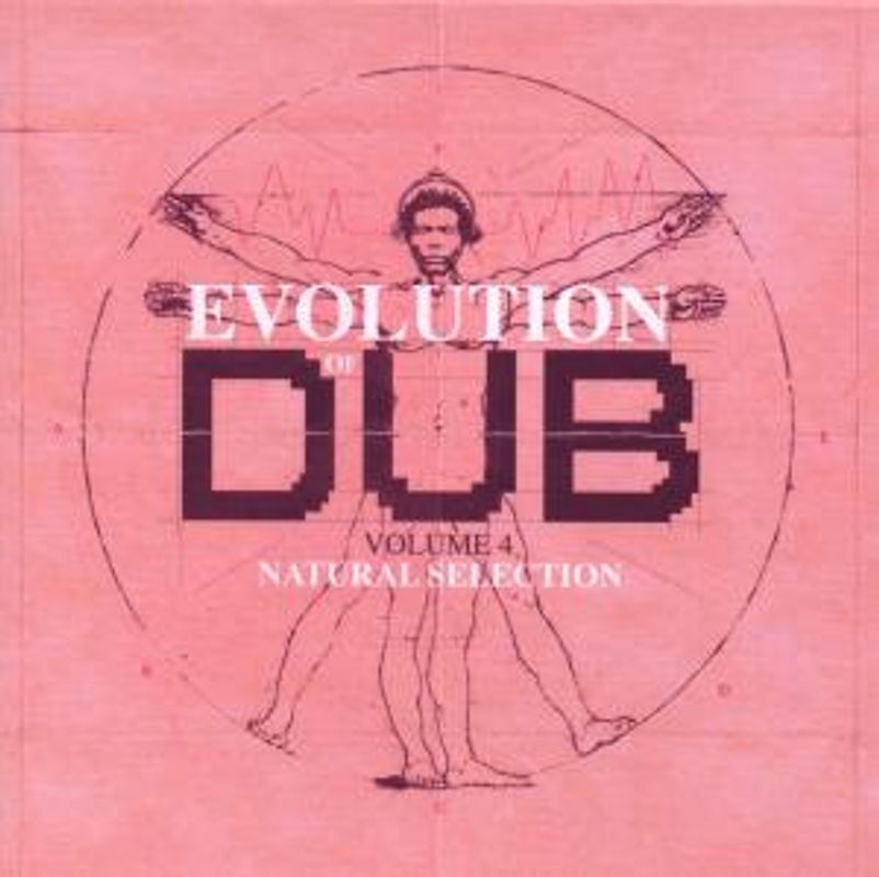 Gibbs,Joe - The Evolution Of Dub Vol.4 (Box-Set) [4 CDs]
