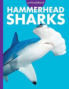 Curious about Hammerhead Sharks