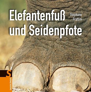 Elefantenfuß und Seidenpfote