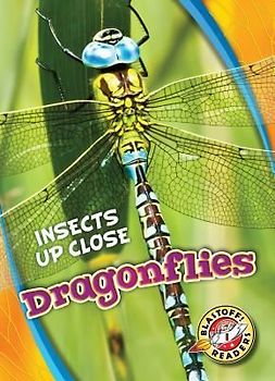 Dragonflies