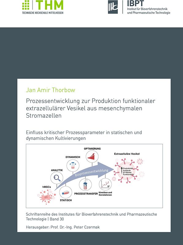 Prozessentwicklung zur Produktion funktionaler extrazellulärer Vesikel aus mesenchymalen Stromazellen