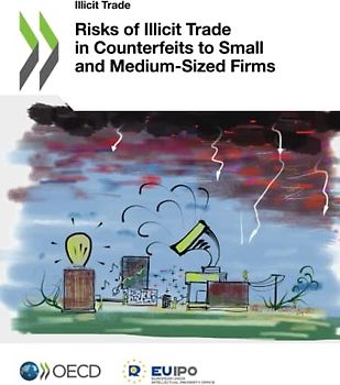 Risks of Illicit Trade in Counterfeits to Small and Medium-Sized Firms
