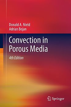 Convection in Porous Media