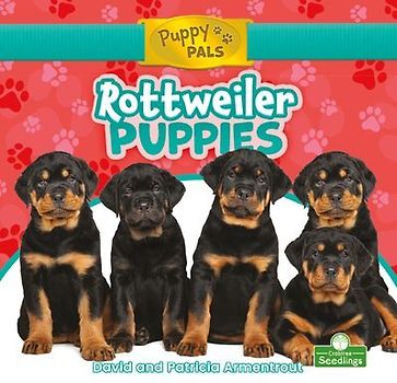 Rottweiler Puppies