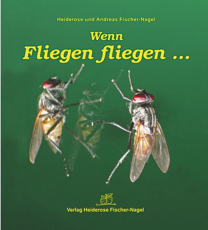 Wenn Fliegen fliegen...