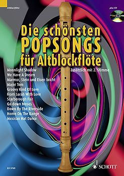 Die schönsten Popsongs für Alt-Blockflöte. 12 Pop-Hits. Band 1. 1-2 Alt-Blockflöten. Ausgabe mit CD.