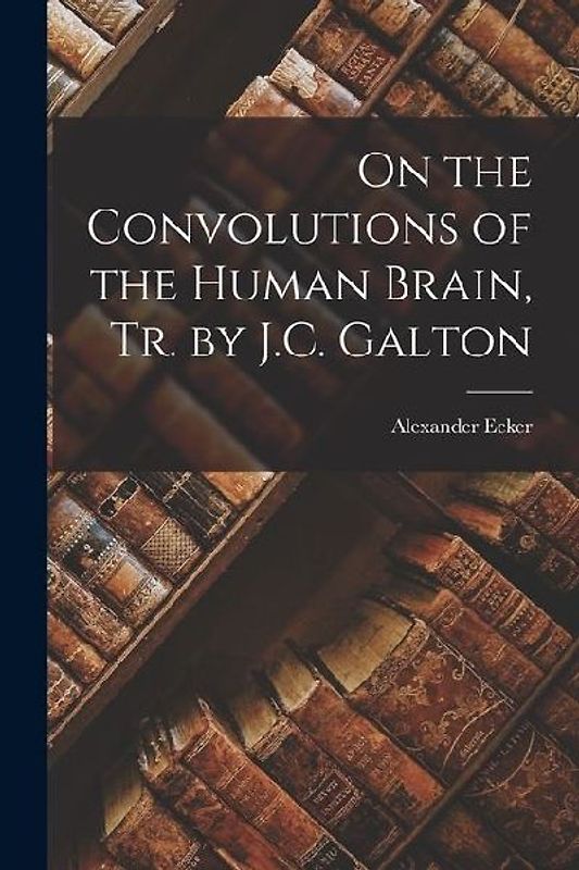 On the Convolutions of the Human Brain, Tr. by J.C. Galton
