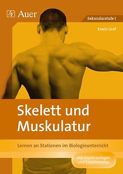 Skelett und Muskulatur. Lernen an Stationen im Biologieunterricht (5. und 6. Klasse)