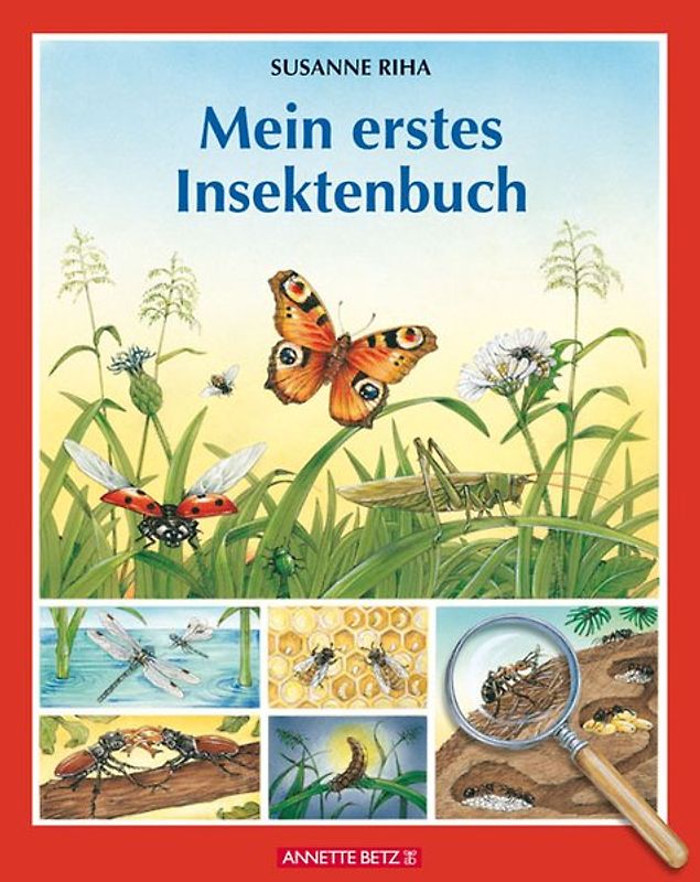 Mein erstes Insektenbuch