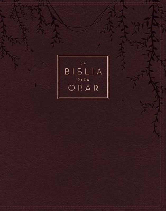 Rvr60, La Biblia Para Orar, Leathersoft, Rojo Vino, Palabras de Jesús En Rojo, Comfort Print