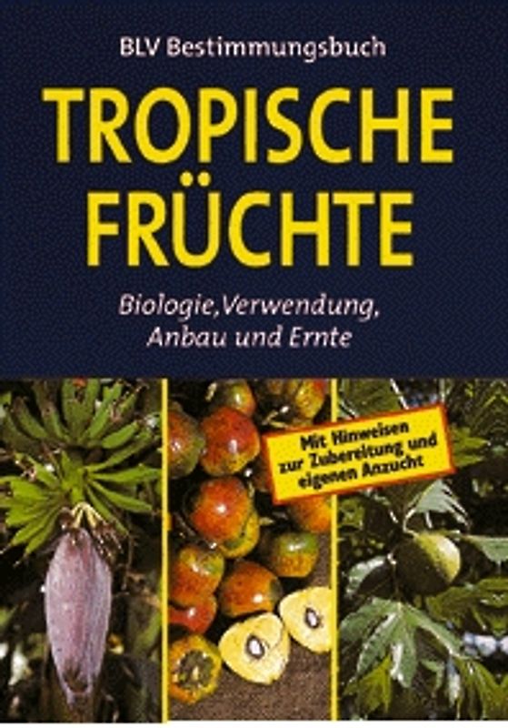 Tropische Früchte