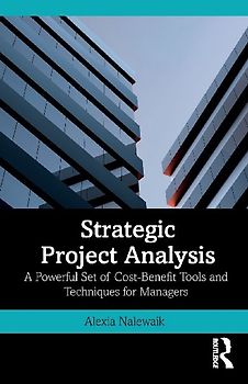 Strategic Project Analysis