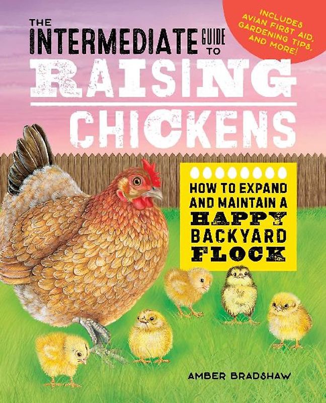 The Intermediate Guide to Raising Chickens