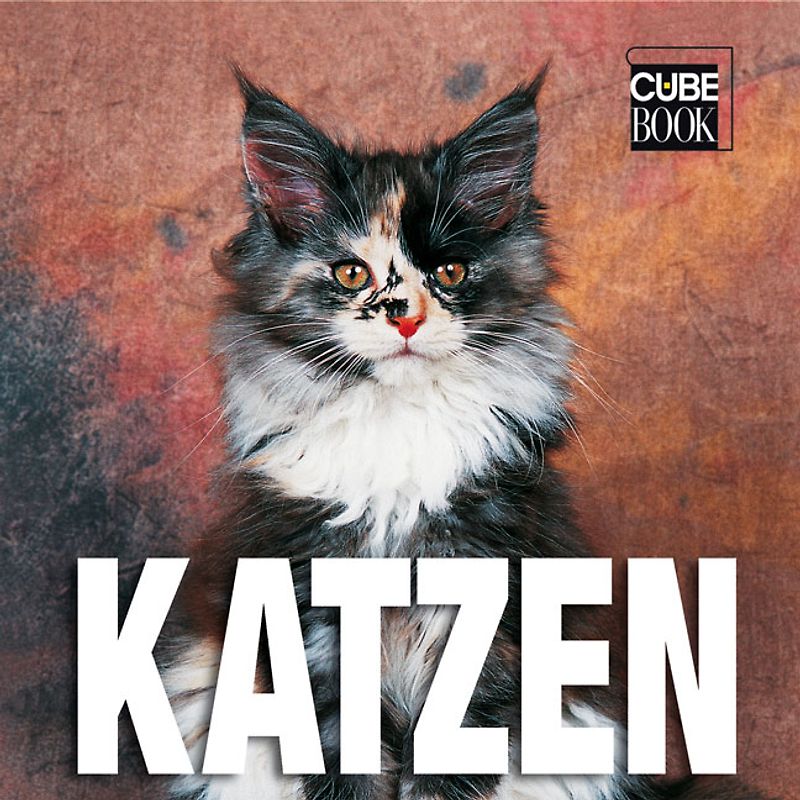 Katzen