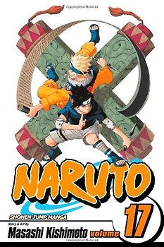 Naruto, Vol. 17: v. 17 - Masashi Kishimoto