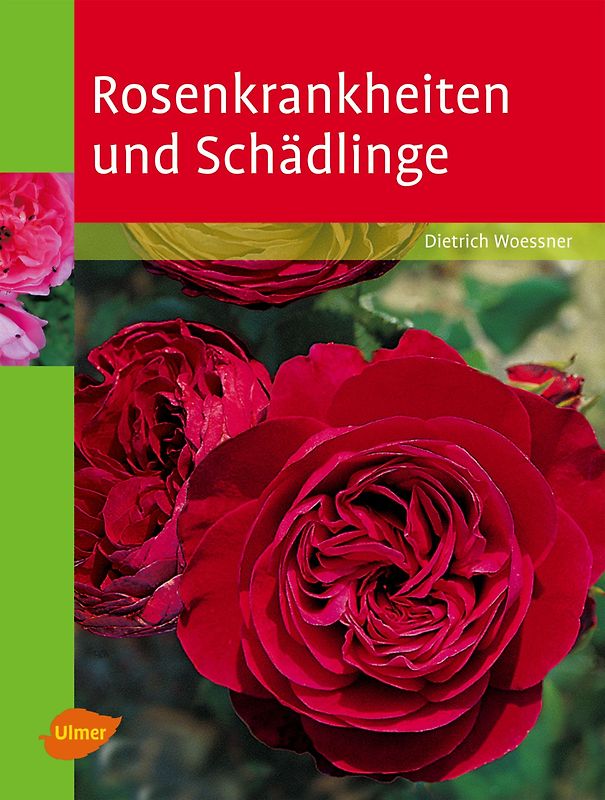 Rosenkrankheiten und Schädlinge
