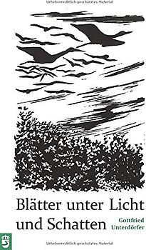 Blätter unter Licht und Schatten