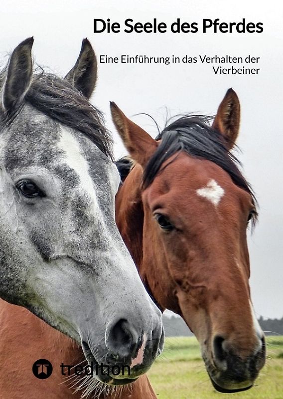 Die Seele des Pferdes
