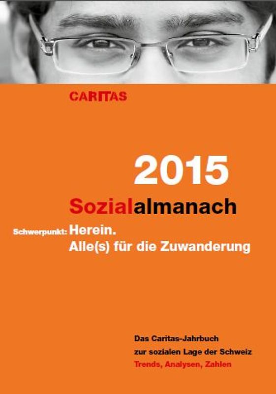 Sozialalmanach 2015
