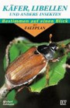 Käfer, Libellen und andere Insekten