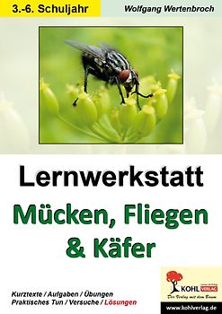 Lernwerkstatt Mücken, Fliegen und Käfer