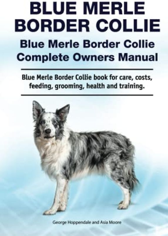 Blue Merle Border Collie. Blue Merle Border Collie Complete Owners Manual. Blue Merle Border Collie book for care, costs, feeding, grooming, health and training.