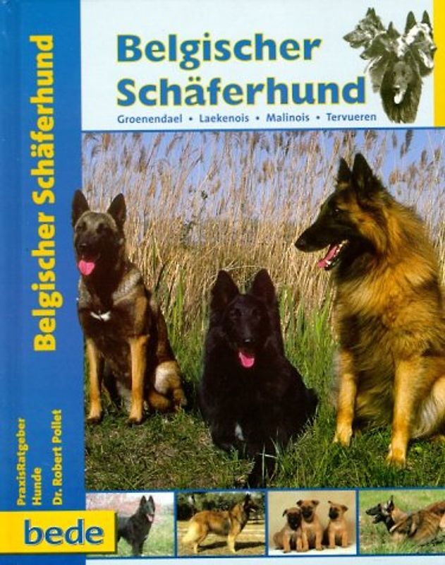 Belgischer Schäferhund