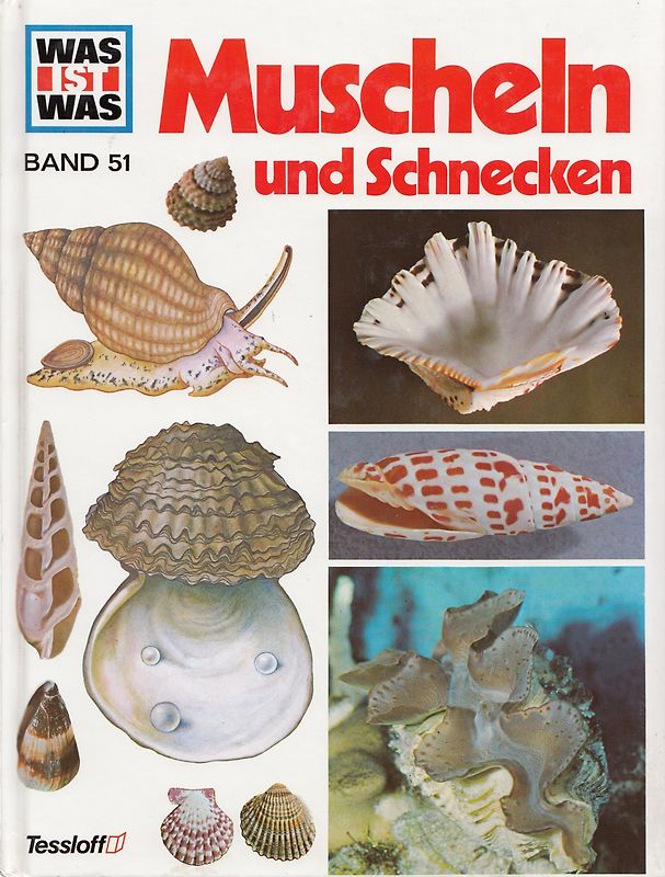 Was ist was, Band 051: Muscheln, Schnecken, Tintenfische