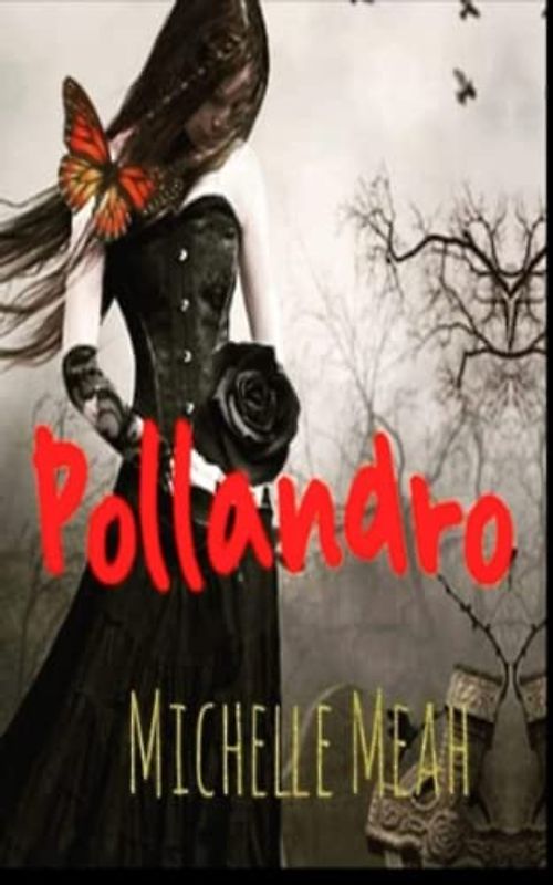 POLLANDRO (The Witches Of Time, Band 4)