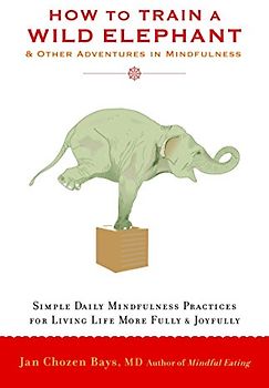 How to Train a Wild Elephant: And Other Adventures in Mindfulness - Jan Chozen Bays