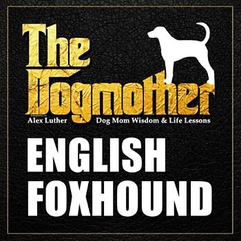 The Dogmother: English Foxhound: (Dog Mom Wisdom & Life Lessons)