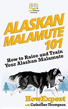 Alaskan Malamute 101: How to Raise and Train Your Alaskan Malamute