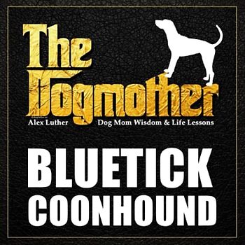 The Dogmother: Bluetick Coonhound: (Dog Mom Wisdom & Life Lessons)