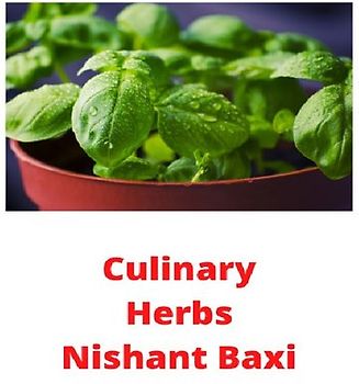 Culinary Herbs