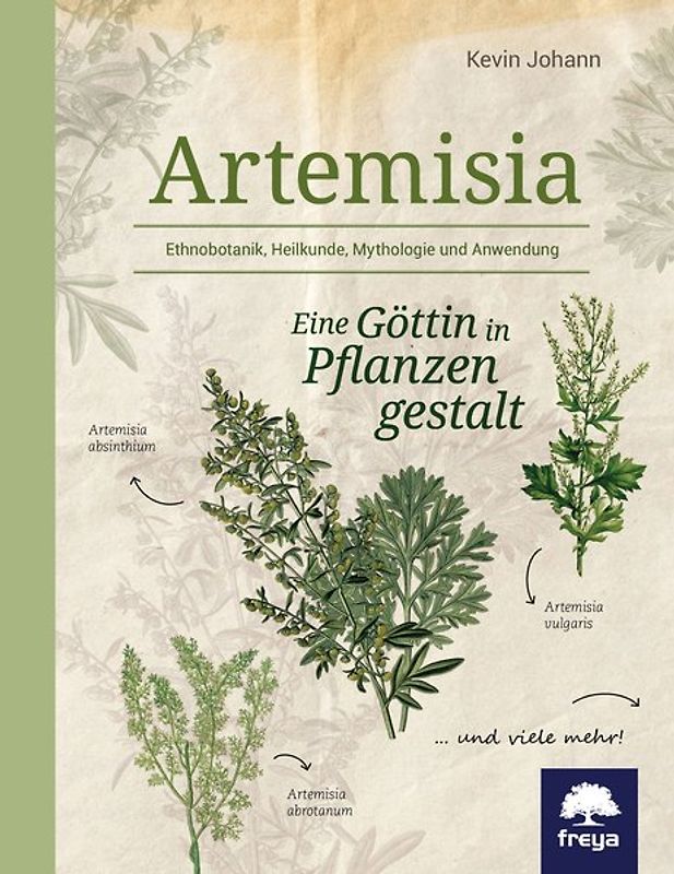 Artemisia