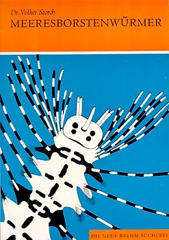Meeresborstenwürmer